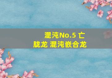 混沌No.5 亡胧龙 混沌嵌合龙